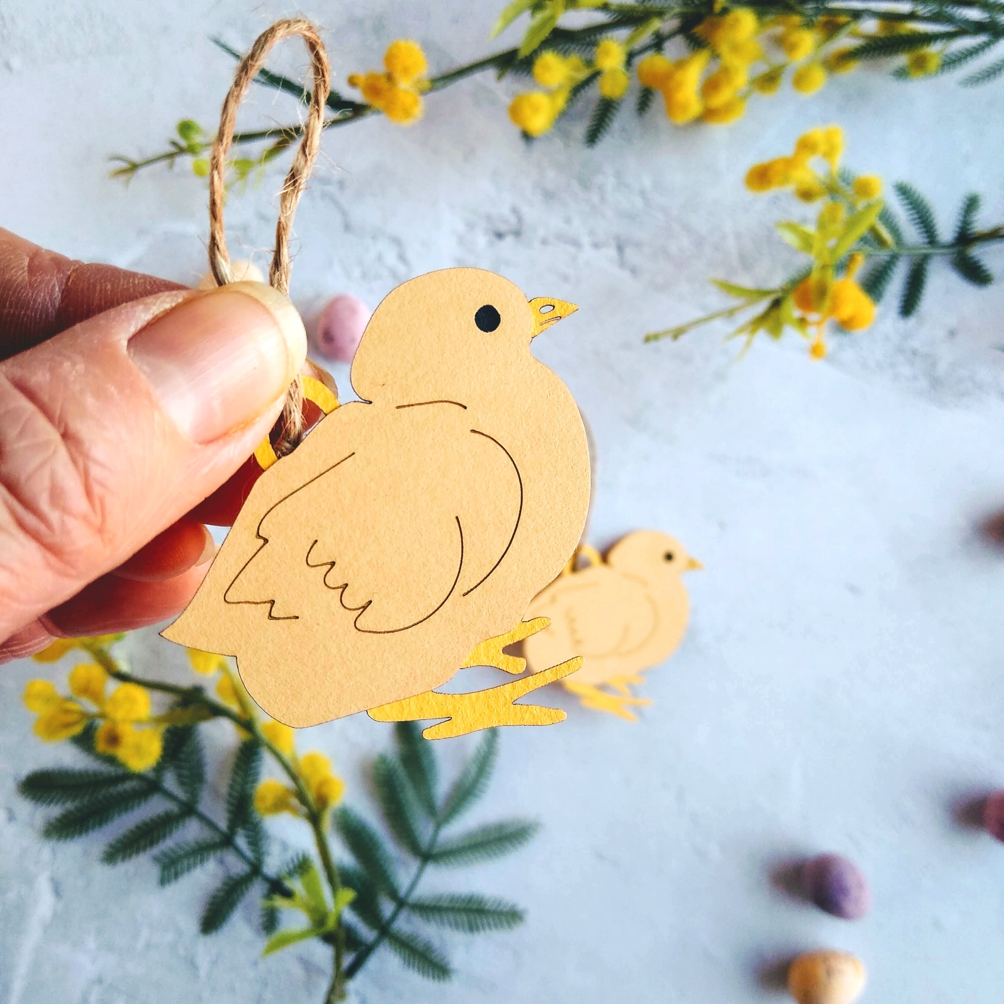Pair of Easter Chick Hanging decorations surrounded by yellow mimosa flowers. One chick is held in models hand