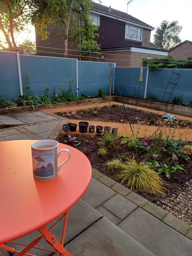 A cup of coffee sits on a bright orange table.  The view looks out on Rosie's back garden with dark blue fencing and young plants.