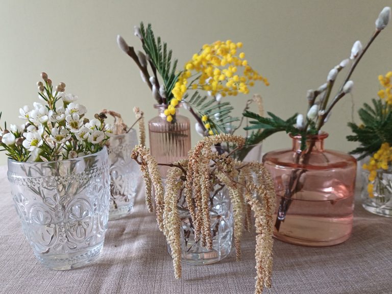 A collection of clear glasses and pink bud vases filled with white waxflower, yellow mimosa, catkins and pussy willow