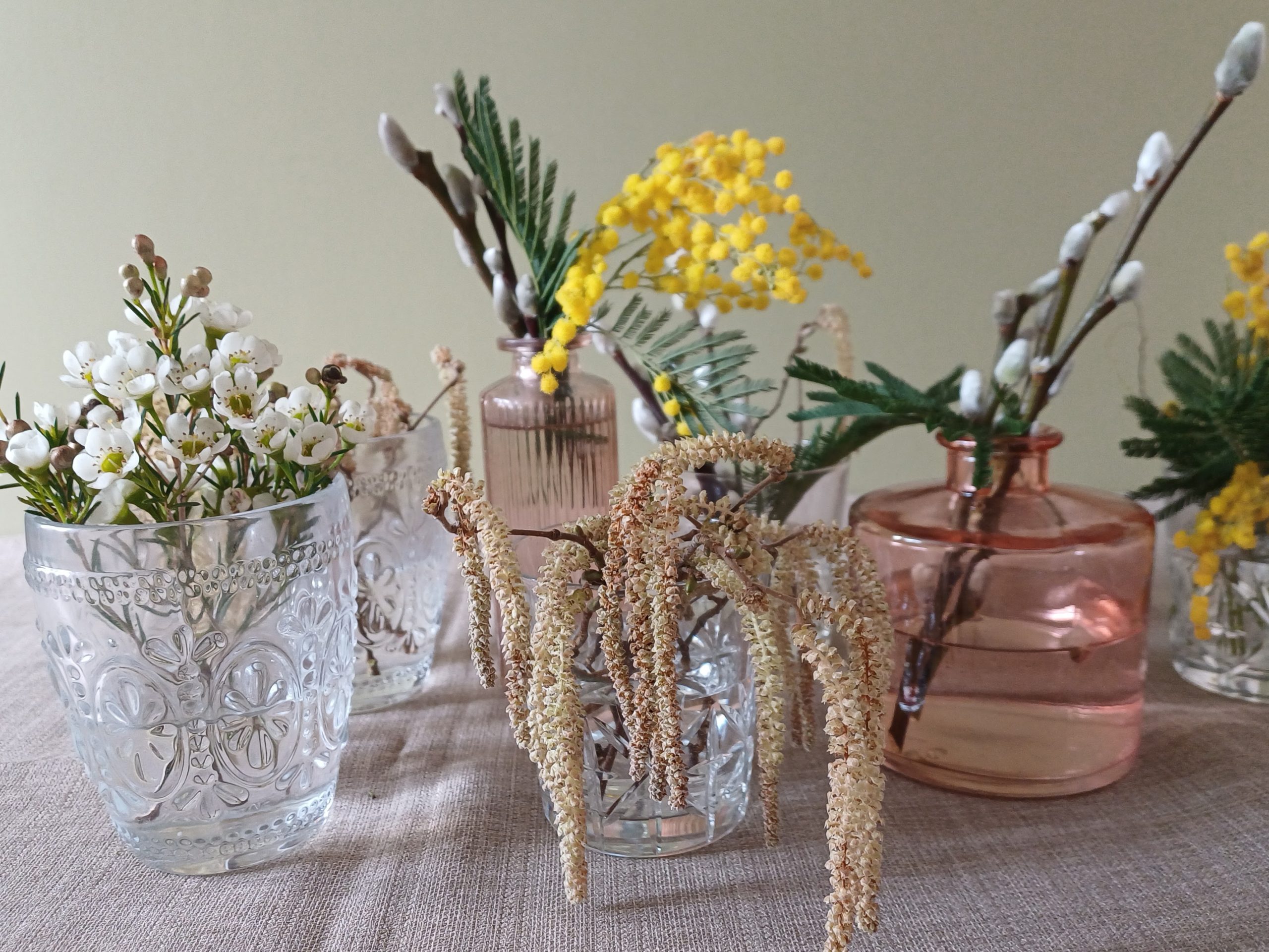 A collection of clear glasses and pink bud vases filled with white waxflower, yellow mimosa, catkins and pussy willow