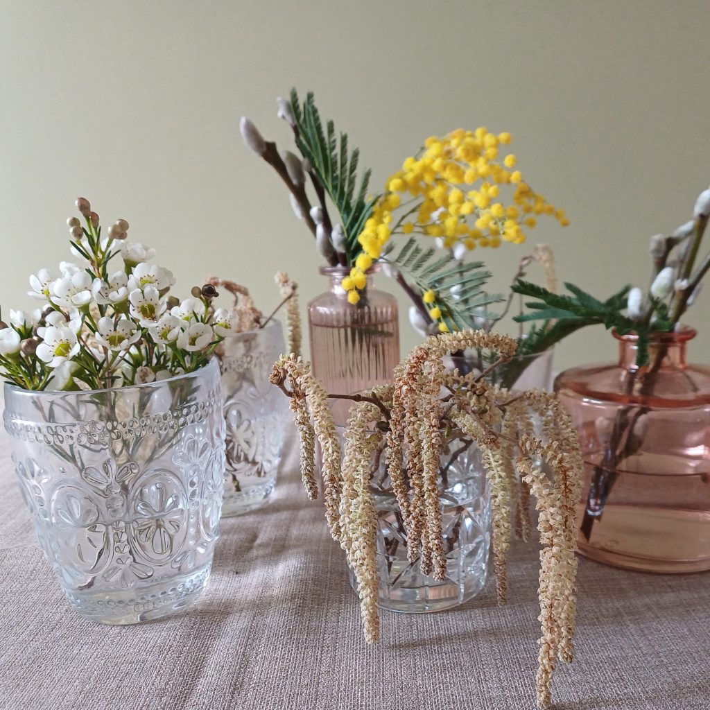 A collection of glasses and bud vases containing spring flowers