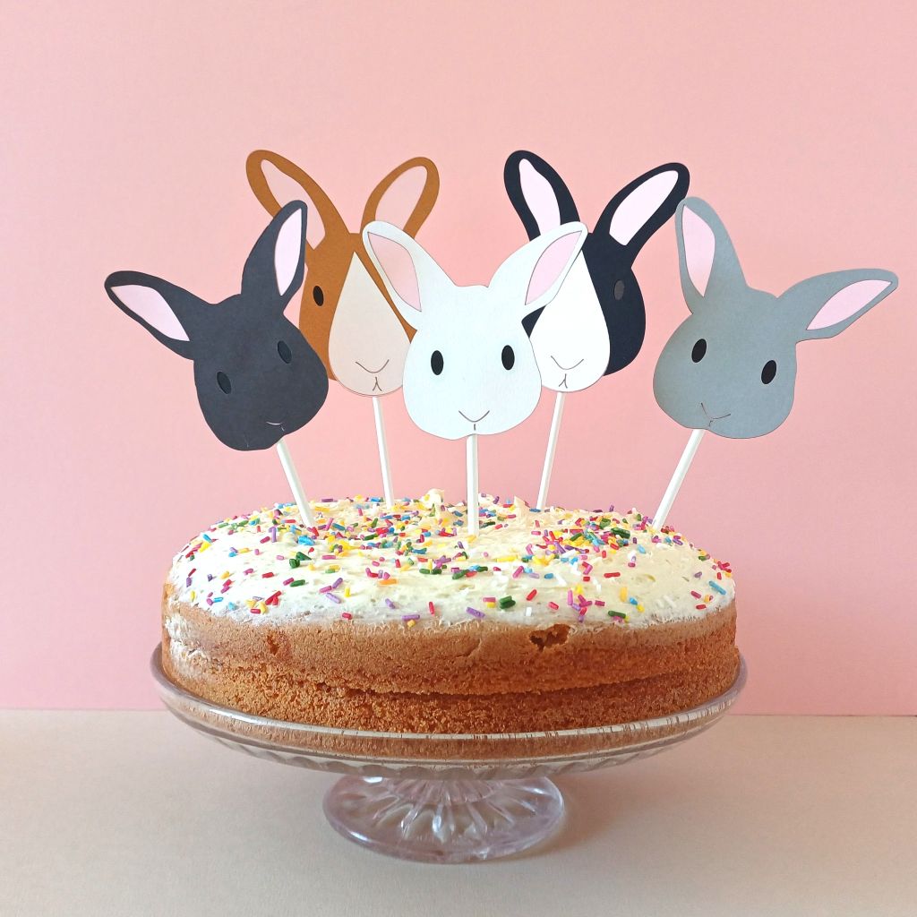 5 bunny cake topper decorations placed in a sponge cake decorated with colourful sprinkles. From left to right Dark brown bunny face with small black eyes, Toffee brown bunny face with white nose patch, white rabbit face , black rabbit face with white nose patch, Pale grey rabbit face. All decorations are attached to white paper lollipop/cakepop stick.